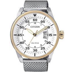 Acheter Montre pour Homme Citizen Aviator Eco-Drive AW1364-54A
