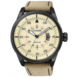 Acheter Montre pour Homme Citizen Aviator Eco-Drive AW1365-19P