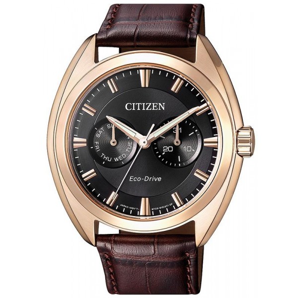 Acheter Montre pour Homme Citizen Style Eco-Drive BU4018-11H Multifonction