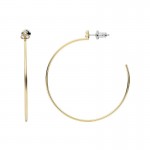 Image of Fossil Sadie - Womens Hoop Earrings - JF04111710