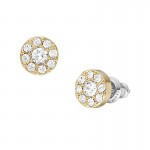 Image of Fossil Womens Earrings Jewelry JF04375710