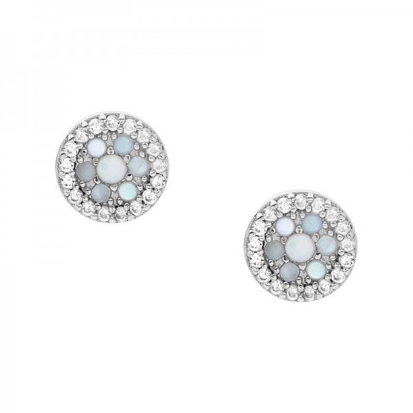 Buy Fossil Ladies Earrings Sterling Silver JFS00518040