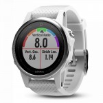 Buy Garmin Unisex Watch Fēnix 5S 010-01685-00