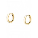 Imagen de Pendientes Mujer Morellato Tesori SAIW248
