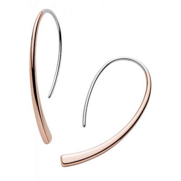 Buy Skagen Ladies Earrings Elin SKJ1212998